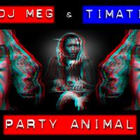 PARTY ANIMAL / DJ M.E.G. ft. IMATI