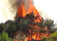 В Астрахани объявлено предупреждение из-за чрезвычайной пожарной опасности