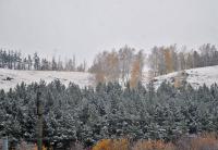 В Учалинском районе Башкирии выпал первый снег