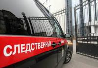 В Вышневолоцком районе Тверской области арестован 54-летний педофил, изнасиловавший девочку
