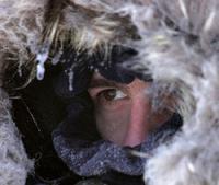 Погода в Екатеринбурге: на следующей неделе обещают 40-градусные морозы
