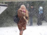 Погода в Москве: снегопады и метель ожидаются во вторник и среду
